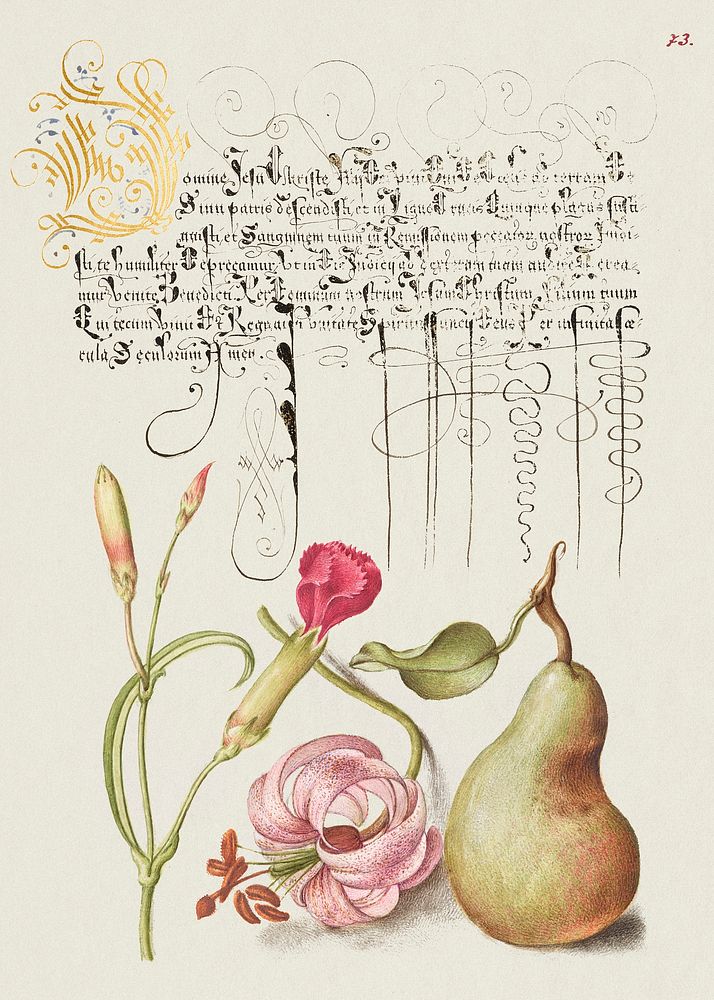 Carnation, Martagon Lily, and Pear from Mira Calligraphiae Monumenta or The Model Book of Calligraphy (1561&ndash;1596) by…