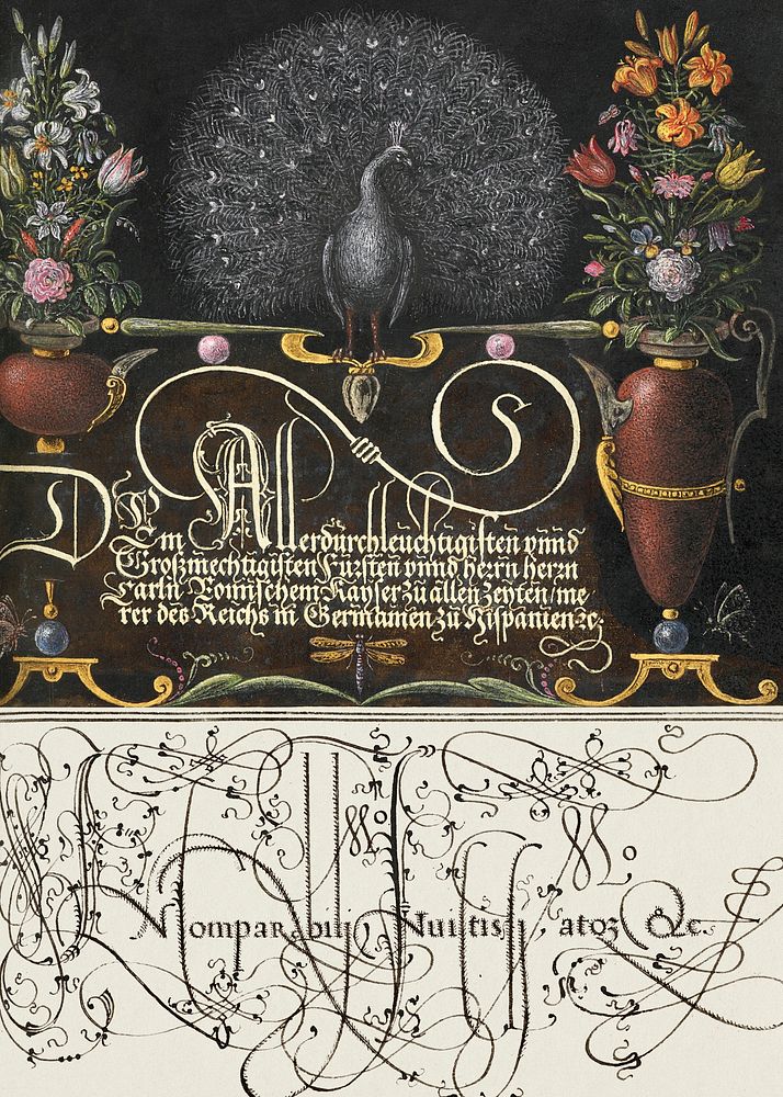 Flower Arrangements, Peacock, Butterflies, and Insect from Mira Calligraphiae Monumenta or The Model Book of Calligraphy…