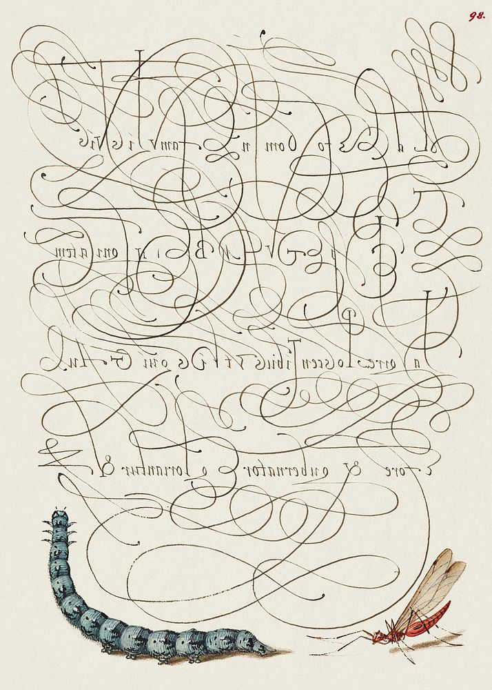 Caterpillar and Insect from Mira Calligraphiae Monumenta or The Model Book of Calligraphy (1561&ndash;1596) by Georg Bocskay…