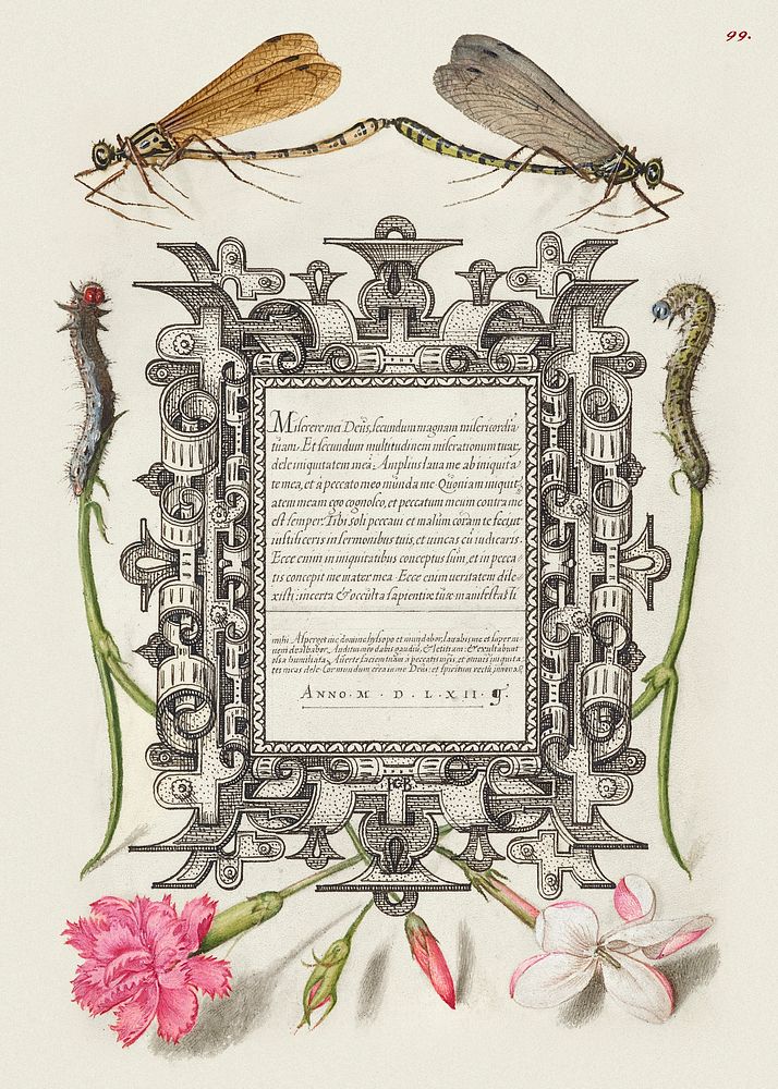 Damselflies, Caterpillars, Carnation, and Poet's Jasmine from Mira Calligraphiae Monumenta or The Model Book of Calligraphy…