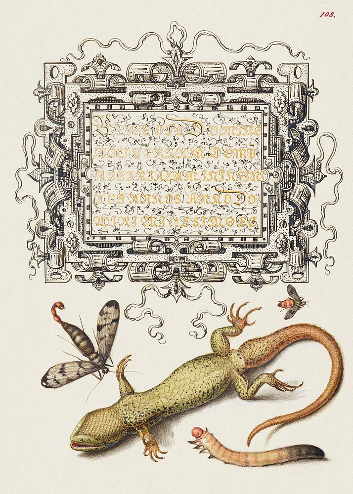 Scorpionfly, Insect, Lizard, and Insect Larva from Mira Calligraphiae Monumenta or The Model Book of Calligraphy…