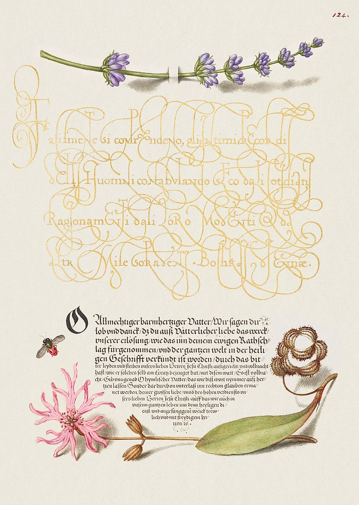 Hyssop, Insect, and Cuckoo Flower from Mira Calligraphiae Monumenta or The Model Book of Calligraphy (1561&ndash;1596) by…