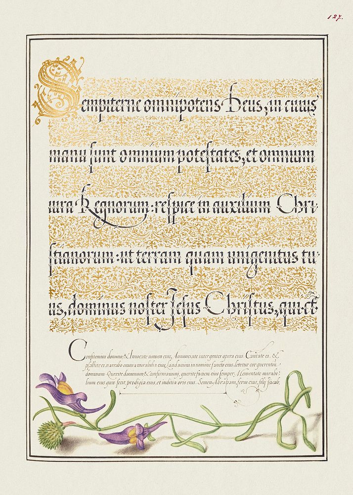 Toadflax from Mira Calligraphiae Monumenta or The Model Book of Calligraphy (1561&ndash;1596) by Georg Bocskay and Joris…
