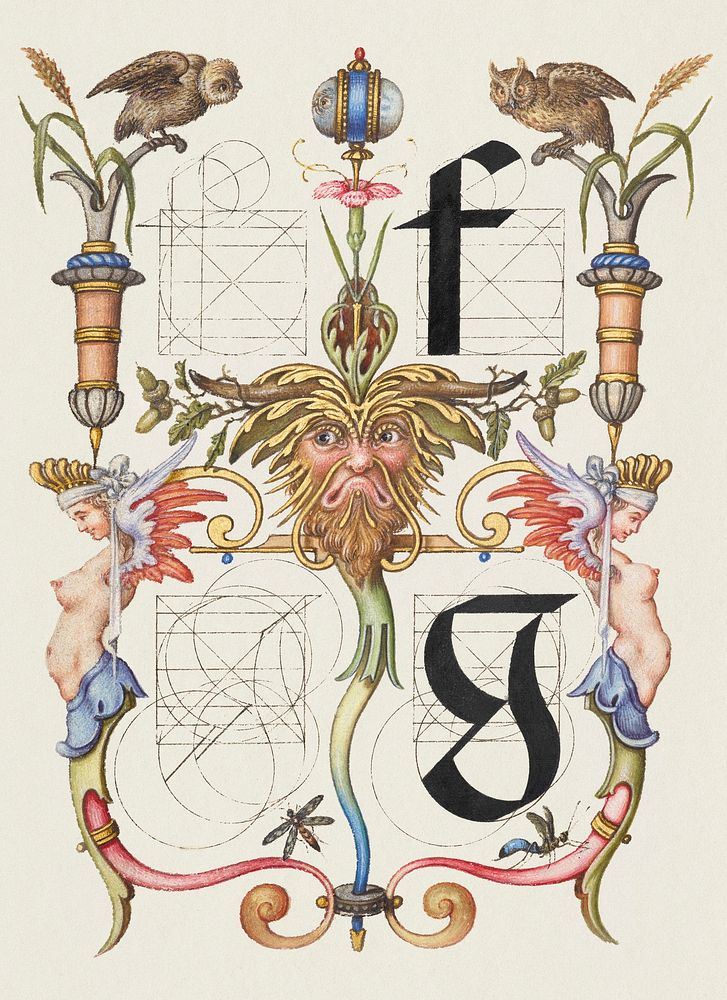 Guide for Constructing the Letters f and g from Mira Calligraphiae Monumenta or The Model Book of Calligraphy (1561–1596) by…