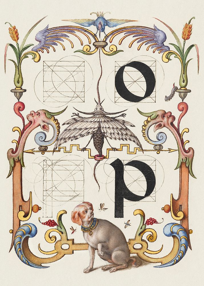 Guide for Constructing the Letters o and p  from Mira Calligraphiae Monumenta or The Model Book of Calligraphy…