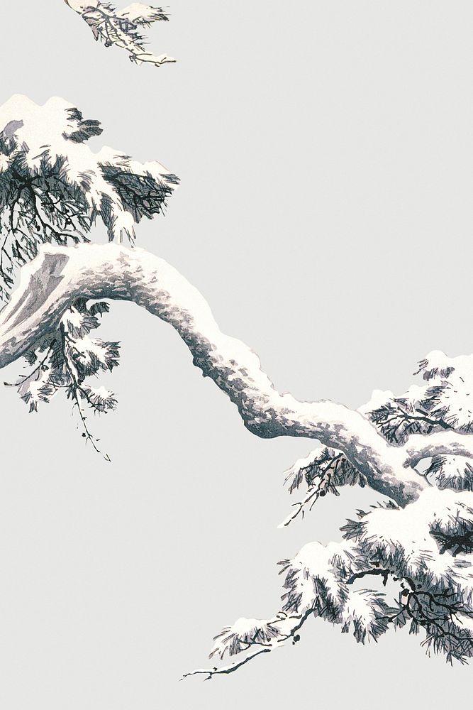 Snow-covered pine bough  background illustration