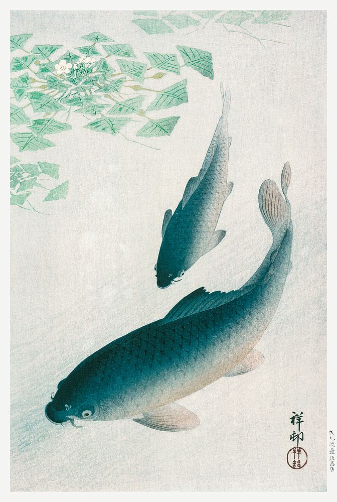 Carp or Koi (1926) by Ohara Koson. Original from the Los Angeles County Museum of Art. Digitally enhanced by rawpixel.