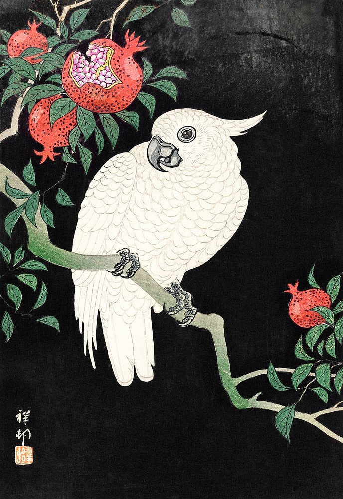 Cockatoo and Pomegranate by Ohara Koson (1877&ndash;1945). Original from the Los Angeles County Museum of Art. Digitally…