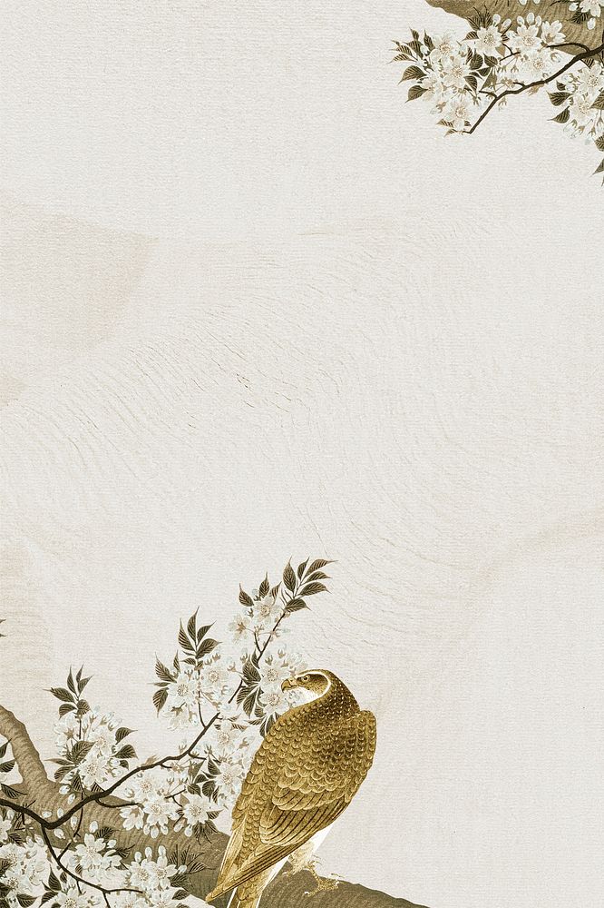 Goshawk on a cherry blossom branch background illustration