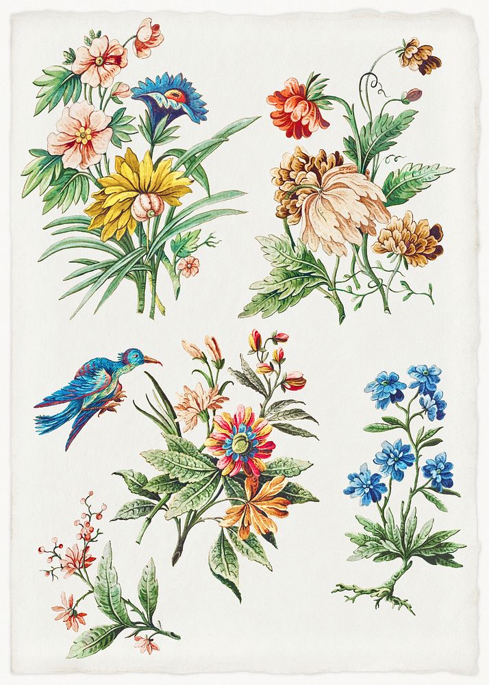 Floral Designs with a Blue Bird (ca. 1773) by Giacomo Cavenezia. Original from Original from The Cleveland Museum of Art.…