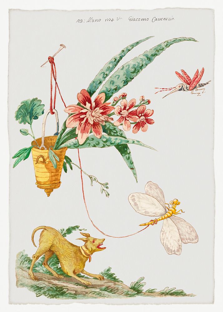 Floral Design with Dog and Insects (1774) by Giacomo Cavenezia. Original from Original from The Cleveland Museum of Art.…