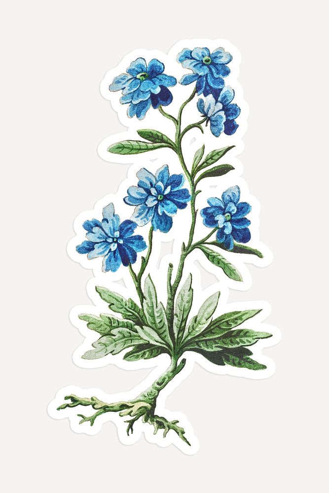 Vintage blue flower sticker with white border