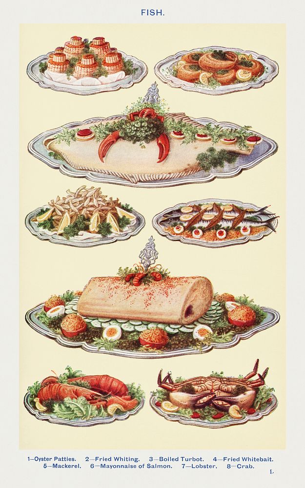 Vintage seafood illustrations of oyster patties, boiled turbot, fired whitebait, mackerel, mayonnaise of salmon, lobster…
