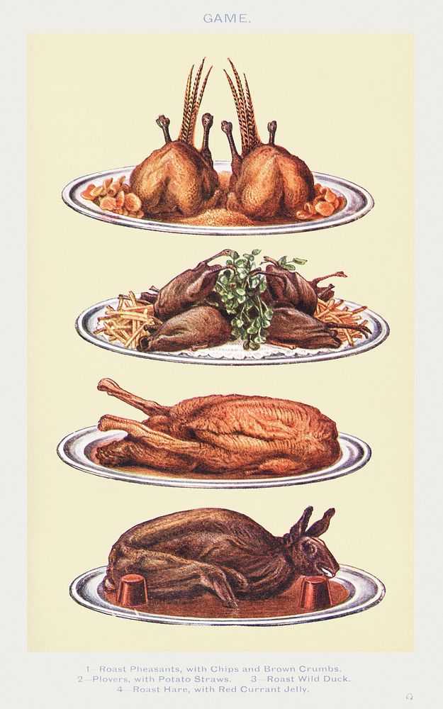 Vintage food illustrations of roast pheasants with chips and brown crumbs, plovers with potato straws, roast wild duck, and…