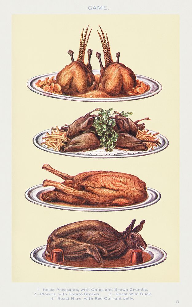Vintage food illustrations roast pheasants | Premium PSD - rawpixel