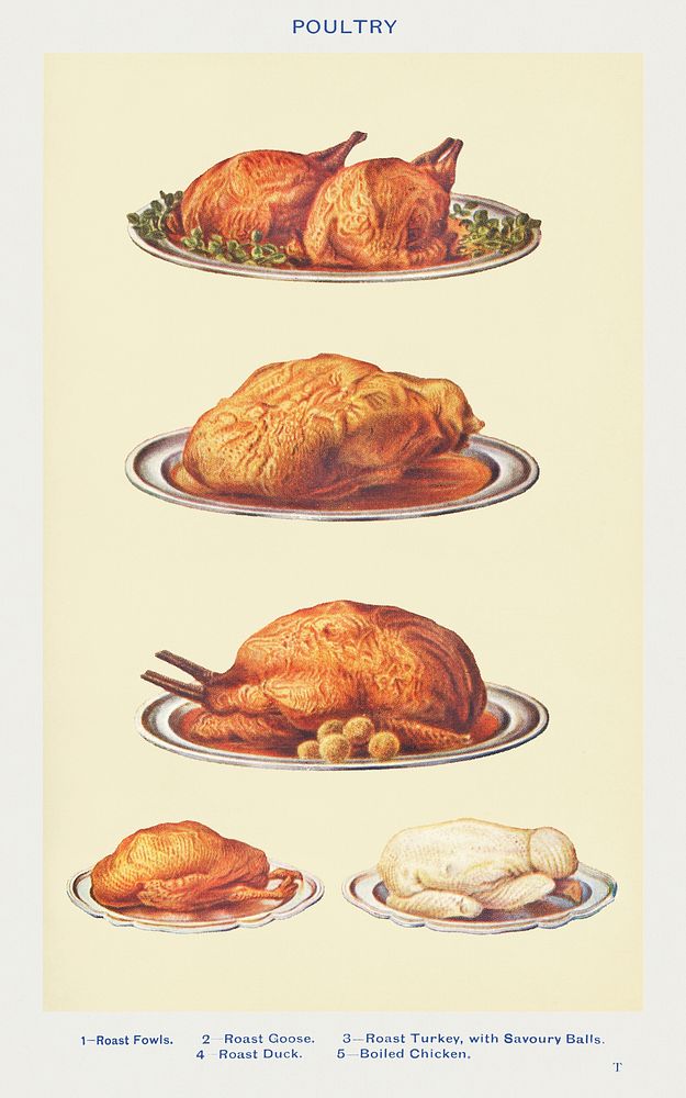 Poultry: Roast Fowls, Roast Goose, Roast Turkey with Savoury Balls, Roast Duck, and Boiled Chicken from Mrs. Beeton's Book…