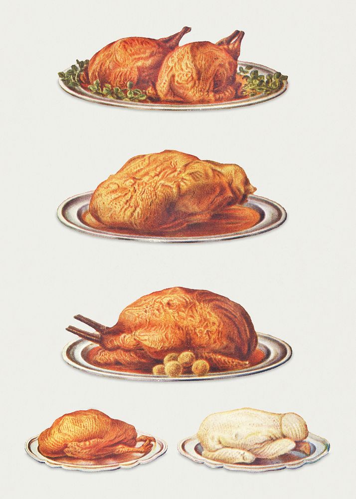Vintage poultry dishes of roast fowls, roast goose, roast turkey with savoury balls, roast duck, and boiled chicken design…