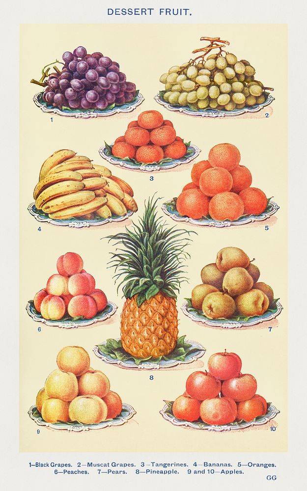 Dessert Fruit: Black Grapes, Muscat Grapes, Tangerines, Bananas, Oranges, Peaches, Pears, Pineapple, and Apples from Mrs.…