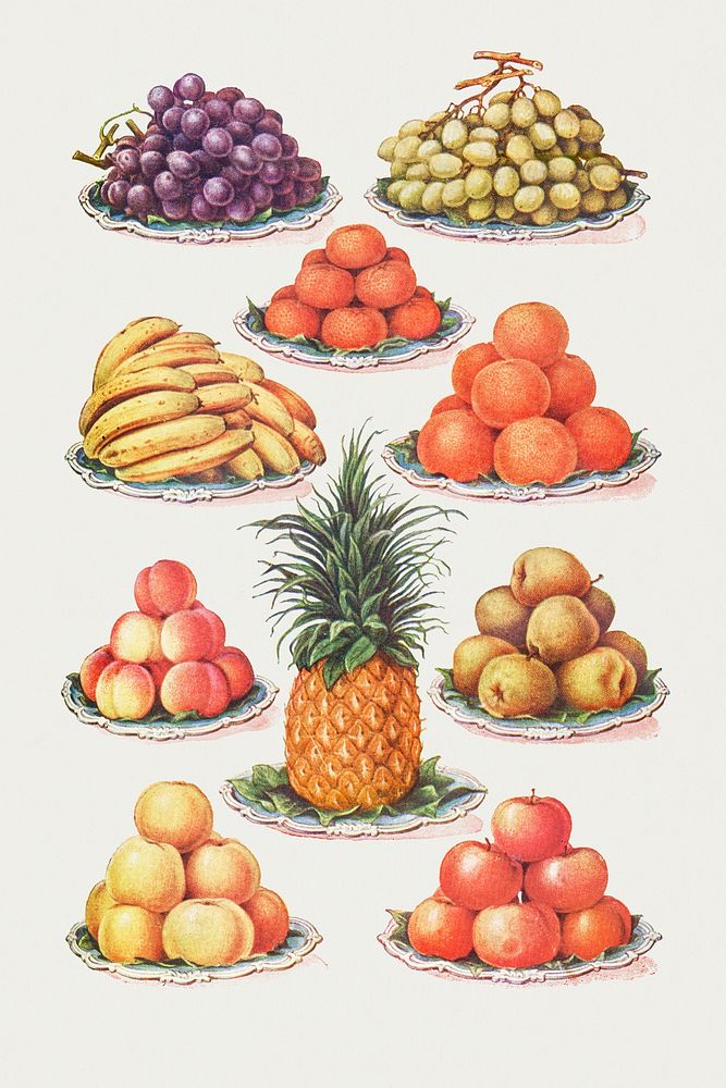 Vintage hand drawn dessert fruit illustrations of black grapes, muscat grapes, tangerines, bananas, oranges, peaches, pears…