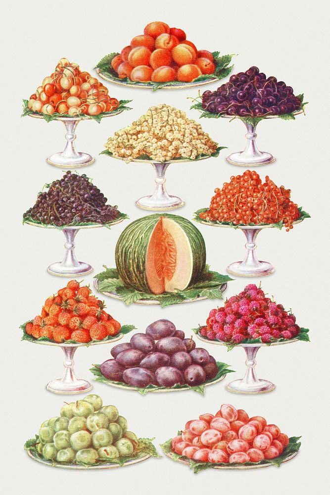 Vintage dessert fruit illustrations design element