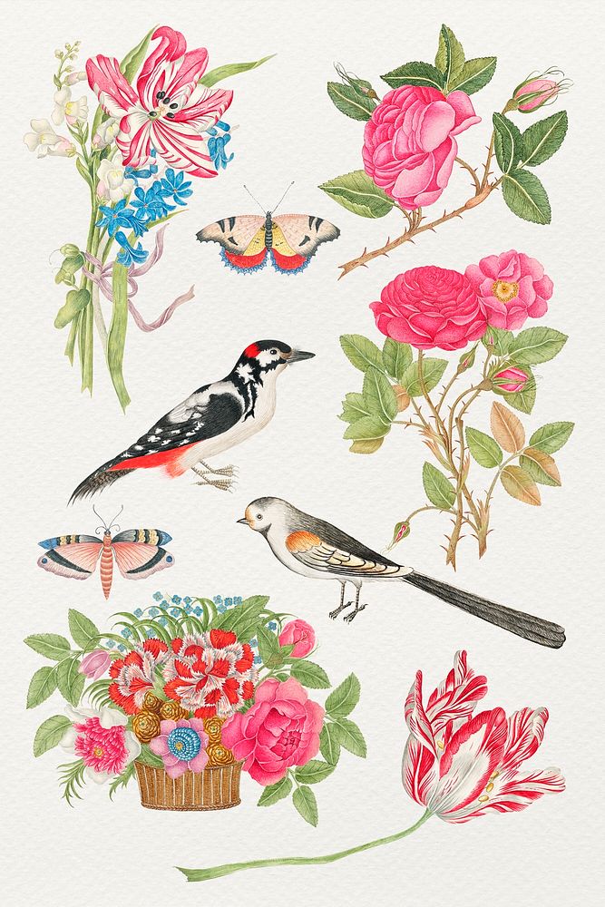 Vintage flowers and birds illustration set, remixed from the 18th-century artworks from the Smithsonian archive.