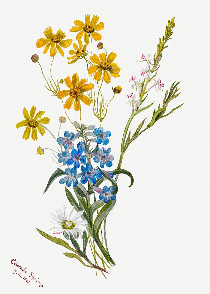 Vintage colorful flower psd illustration floral drawing