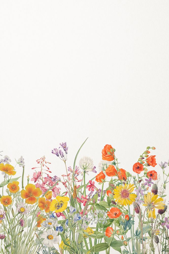 Colorful flower vintage background illustration