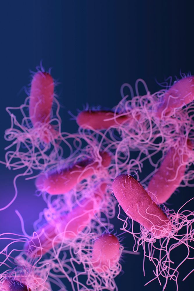 A medical illustration of drug&ndash;resistant, nontyphoidal, Salmonella sp. bacteria. Original image sourced from US…