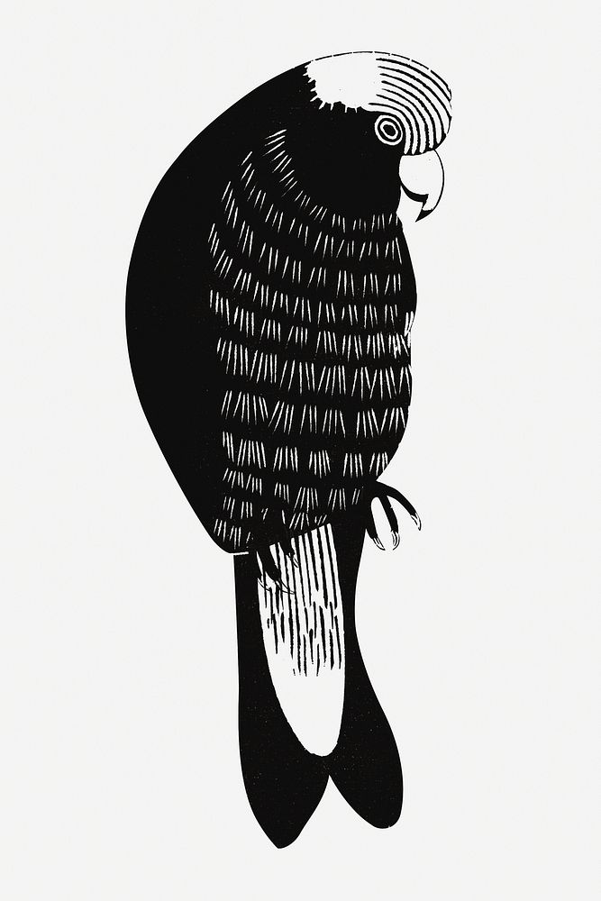 Vintage galah cockatoos animal art print, remix from artworks by Samuel Jessurun de Mesquita