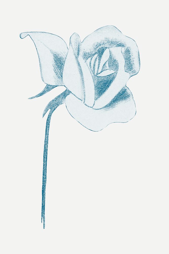 Vintage blue rose art print illustration, remix from artworks by Samuel Jessurun de Mesquita