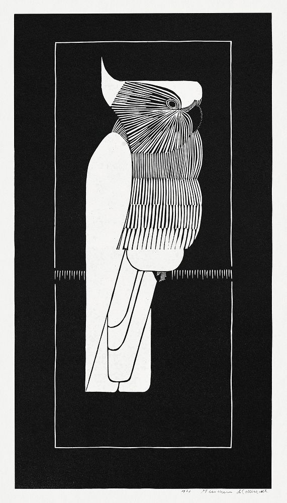Sulphur&ndash;crested cockatoo (Kroonkaketoe) (1924) print in high resolution by Samuel Jessurun de Mesquita. Original from…