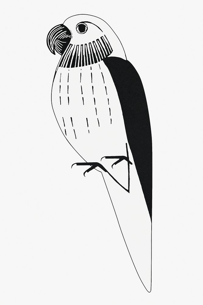 Vintage parakeet animal art print, remix from artworks by Samuel Jessurun de Mesquita