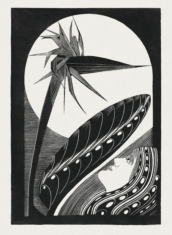 Strelitzia overblown (Uitgebloeide strelitzia) (1934) print in high resolution by Samuel Jessurun de Mesquita. Original from…