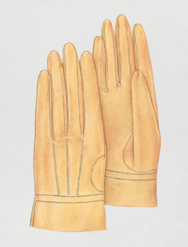 Man's Gloves (c. 1938) by Melita Hofmann. Original from The National Gallery of Art. Digitally enhanced by rawpixel.