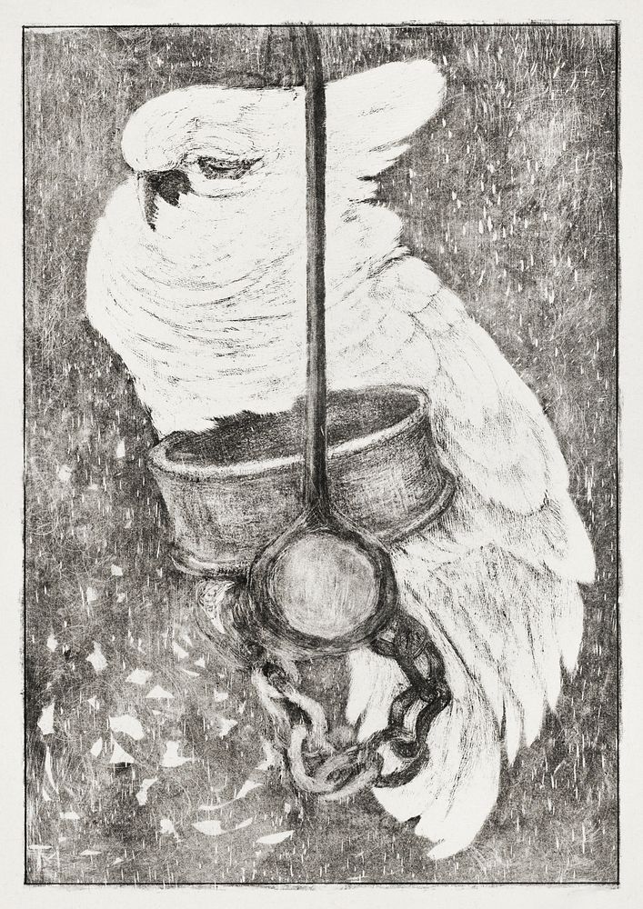Witte kaketoe (1878&ndash;1917) print in high resolution by Theo van Hoytema. Original from The Rijksmuseum. Digitally…