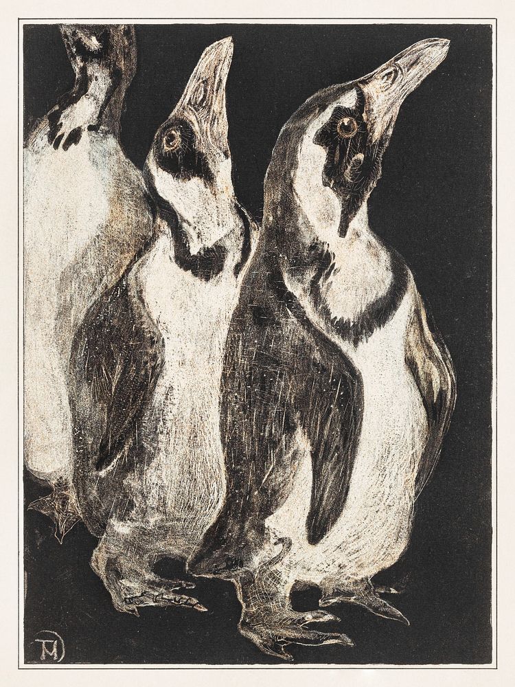 Drie pingu&iuml;ns (1878&ndash;1906) print in high resolution by Theo van Hoytema. Original from The Rijksmuseum. Digitally…
