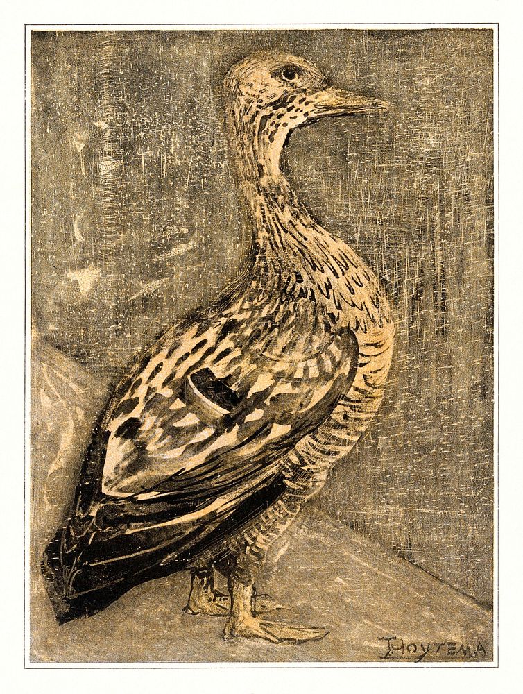Staande eend (1878&ndash;1909) print in high resolution by Theo van Hoytema. Original from The Rijksmuseum. Digitally…
