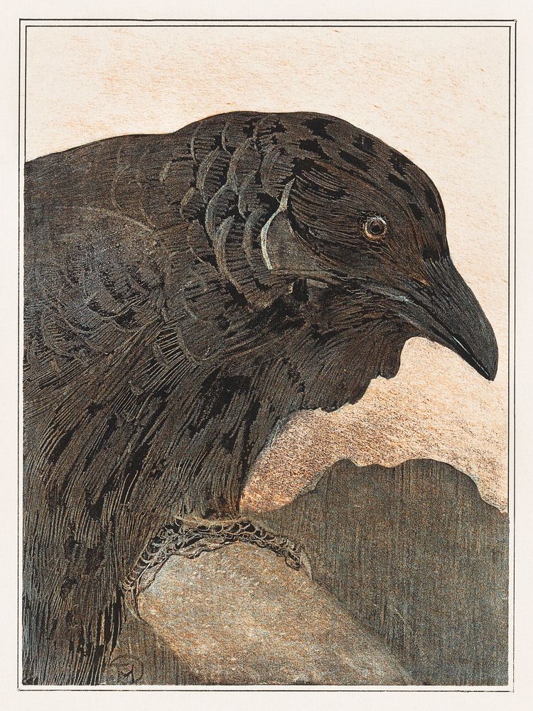 Kraai (1878&ndash;1908) print in high resolution by Theo van Hoytema. Original from The Rijksmuseum. Digitally enhanced by…