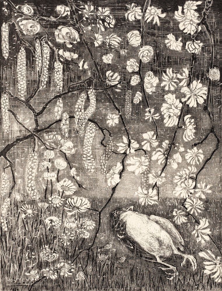 Dood vogeltje onder hazelaar- en kamperfoelietakken (1905) print in high resolution by Theo van Hoytema. Original from The…