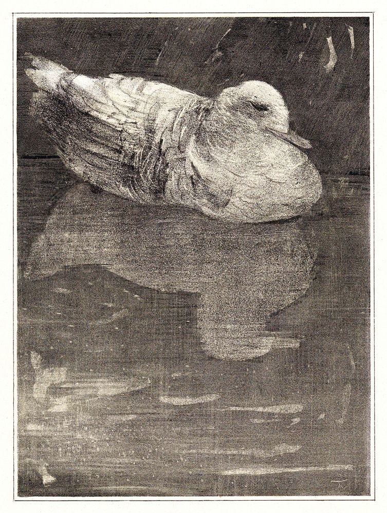 Drijvende eend (1878&ndash;1909) print in high resolution by Theo van Hoytema. Original from The Rijksmuseum. Digitally…