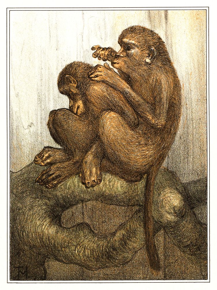Vlooiende apen (1878&ndash;1910) print in high resolution by Theo van Hoytema. Original from The Rijksmuseum. Digitally…