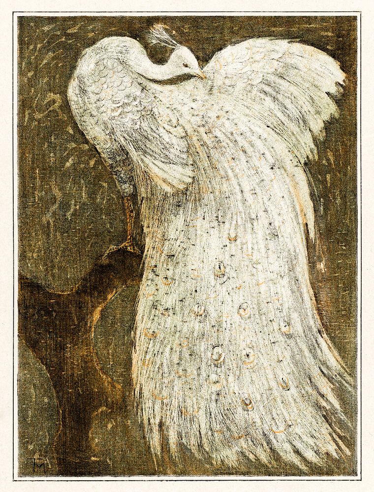 Witte pauw op tak (1878&ndash;1910) print in high resolution by Theo van Hoytema. Original from The Rijksmuseum. Digitally…