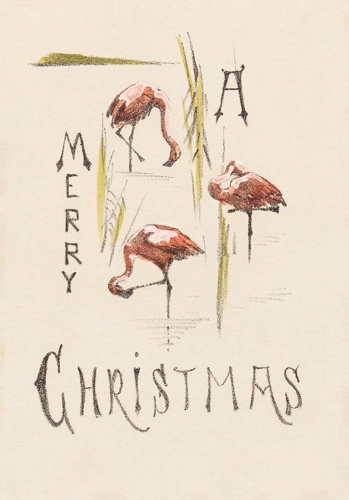 Kerstkaart met drie flamingo's (c.1878&ndash;c.1917) print in high resolution by Theo van Hoytema. Original from The…