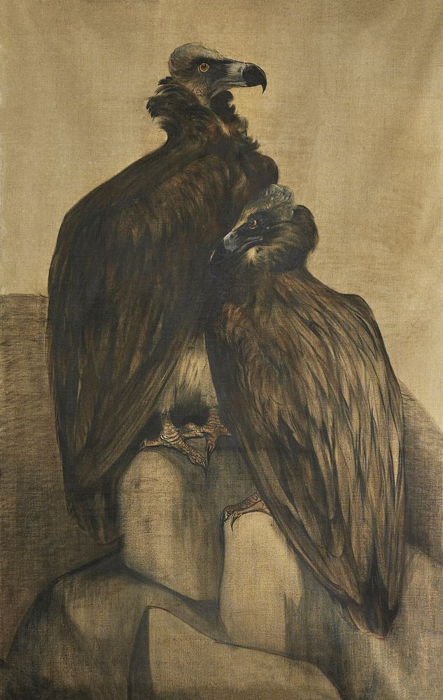 Two Arabian Vultures (1885&ndash;1917) print in high resolution by Theo van Hoytema. Original from The Rijksmuseum.…