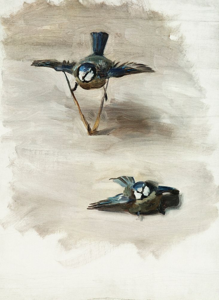 Studies of a Dead Bird (1878) by John Singer Sargent. Original from The MET Museum. Digitally enhanced by rawpixel.