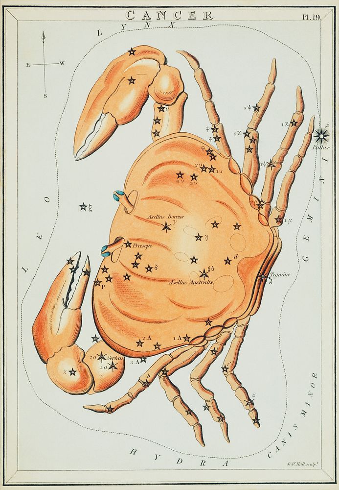 Sidney Hall&rsquo;s (?-1831) astronomical chart illustration of the cancer zodiac. A crab forming a constellation. Original…
