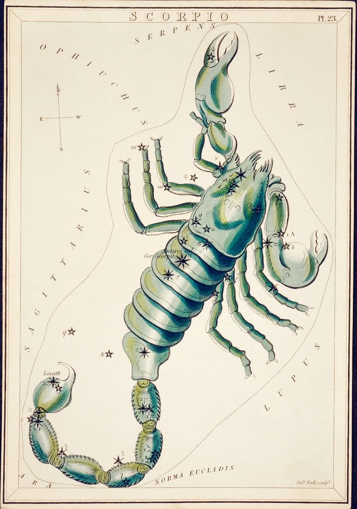 Sidney Hall&rsquo;s (?-1831) astronomical chart illustration of the Scorpio. Original from Library of Congress. Digitally…