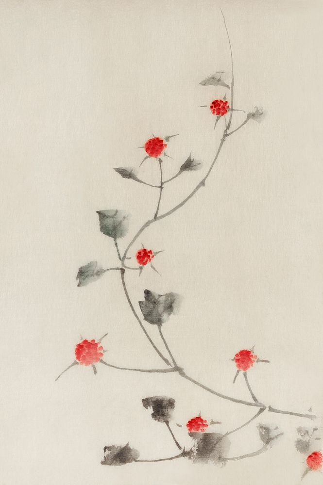Small Red Blossoms on a Vine by Katsushika Hokusai published between 1830 and 1850, an illustration of small red blossoms on…