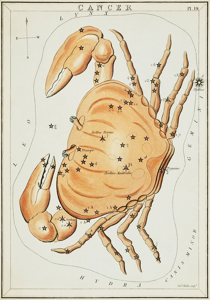 Sidney Hall&rsquo;s (1831) astronomical chart illustration of the zodiac Cancer. Original from Library of Congress.…