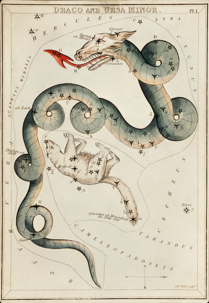 Sidney Hall&rsquo;s (1831) astronomical chart illustration of the Draco and the Ursa Minor. Original from Library of…